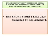 short story summer ppt.pptx